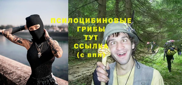 стаф Абдулино