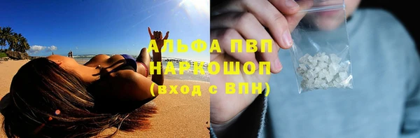 стаф Абдулино