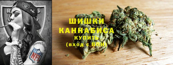 молекула духа Сафоново
