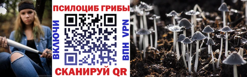 Галлюциногенные грибы прущие грибы  Зея 